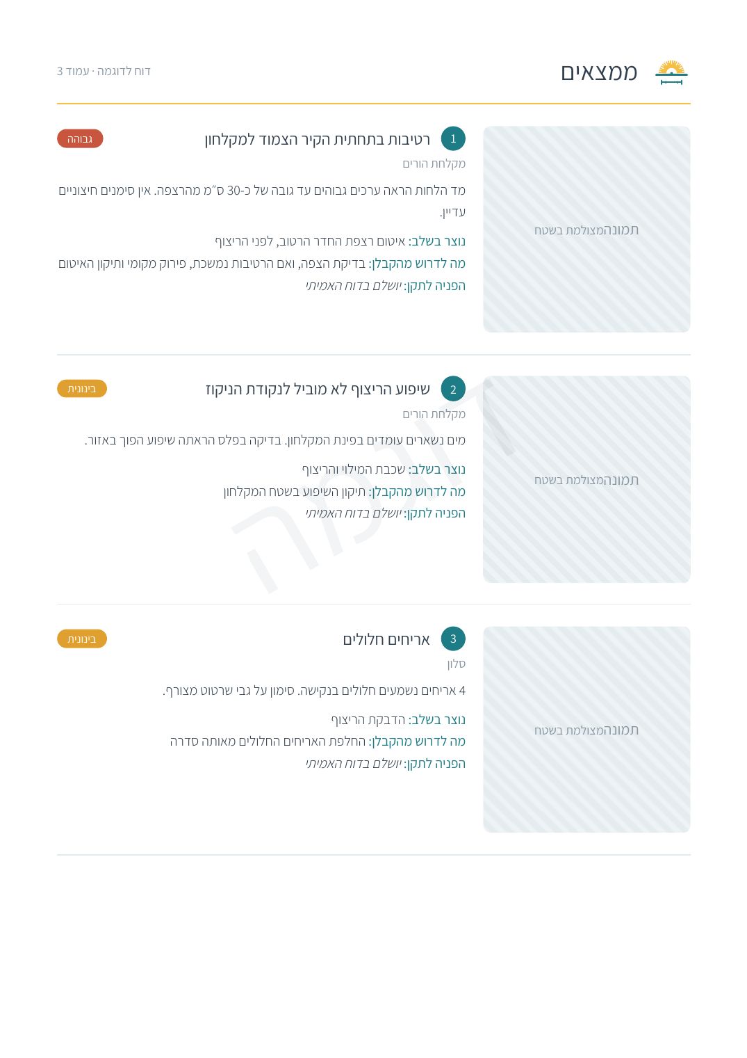 עמוד ממצאים מתוך דוח לדוגמה